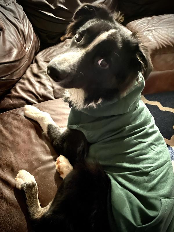 Lounging in his new hoodie!