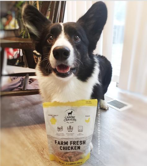 Farm Fresh Chicken Breast 5.3 oz Bag – Canine Cravers