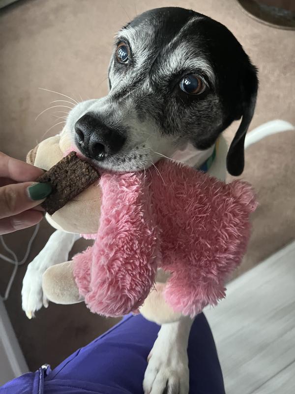 First taste .. didn’t want to give up the toy