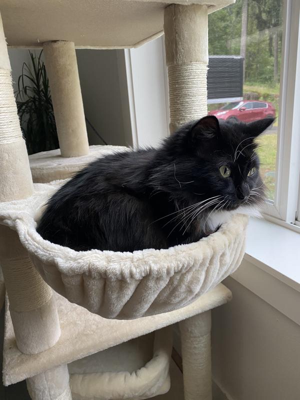 FRISCO 62in Faux Fur Cat Tree & Condo with Hammock, Cream