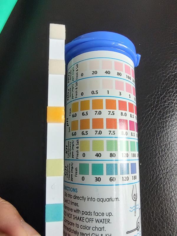 Tetra 5 in outlet 1 test strips