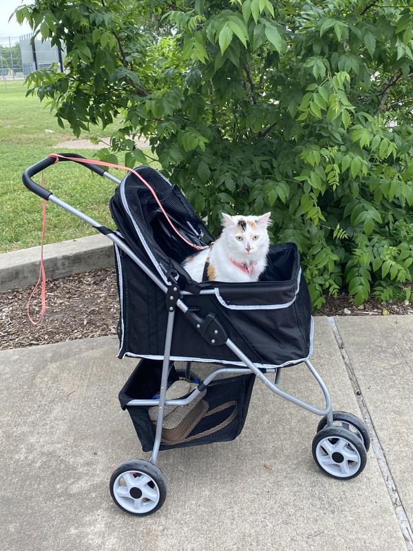 FRISCO Dog & Cat Collapsible Stroller, Black - Chewy.com