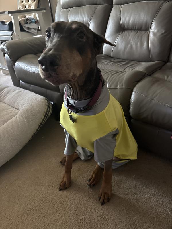 Dobie in Frisco playsuit