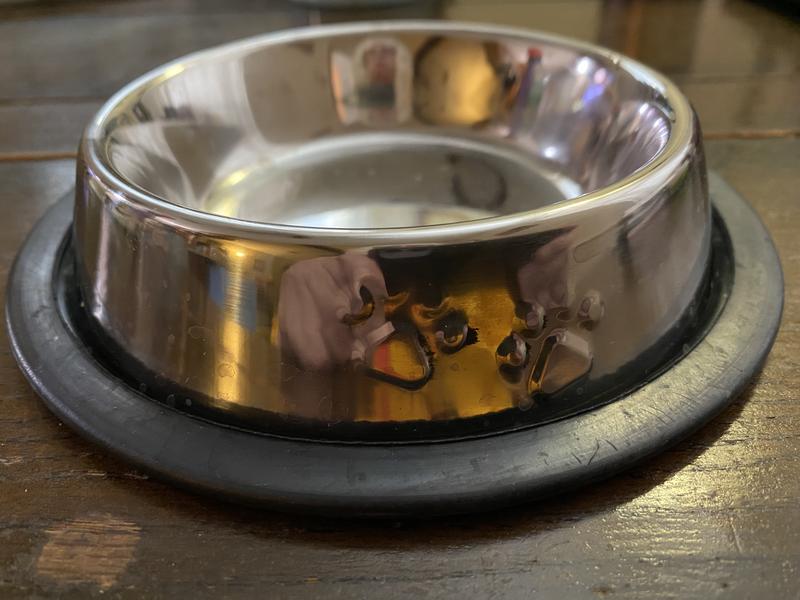 Perfect Bowl For My Kitty’s Treats!