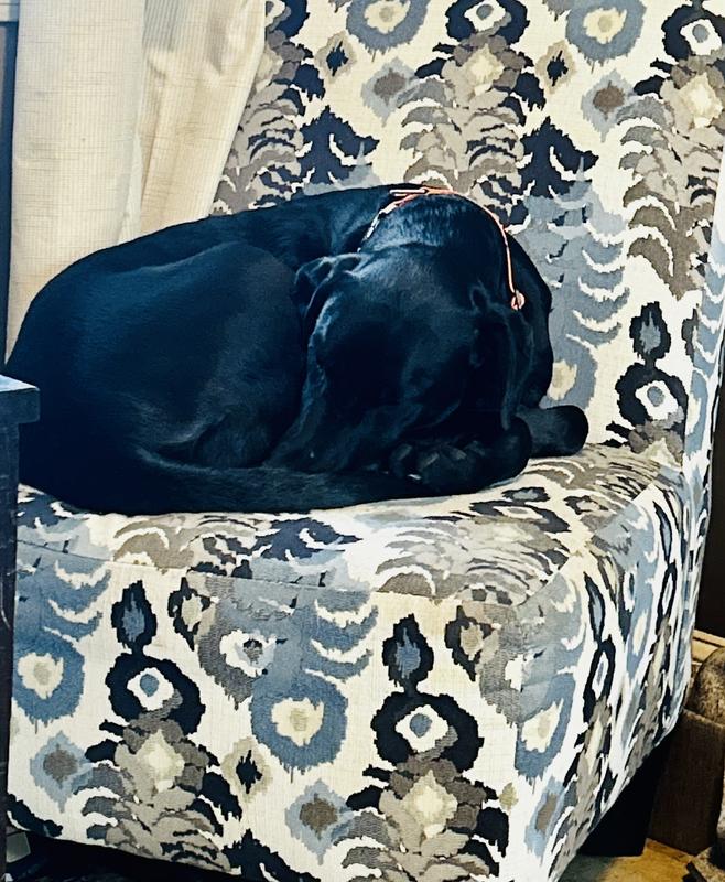 First picture: pouty because he knows his daddy is getting ready to leave; second-fourth photos: enjoying the Walkabout (hard to get a still!); last photo: sleepy after playing with the Walkabout