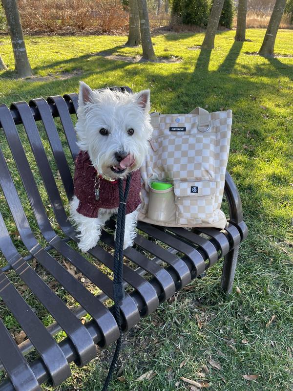 And there were snacks too!