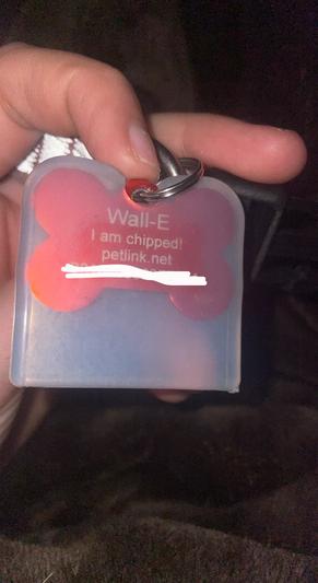 Dog Tag 薔薇 透かし Dog Tag 薔薇 透かし