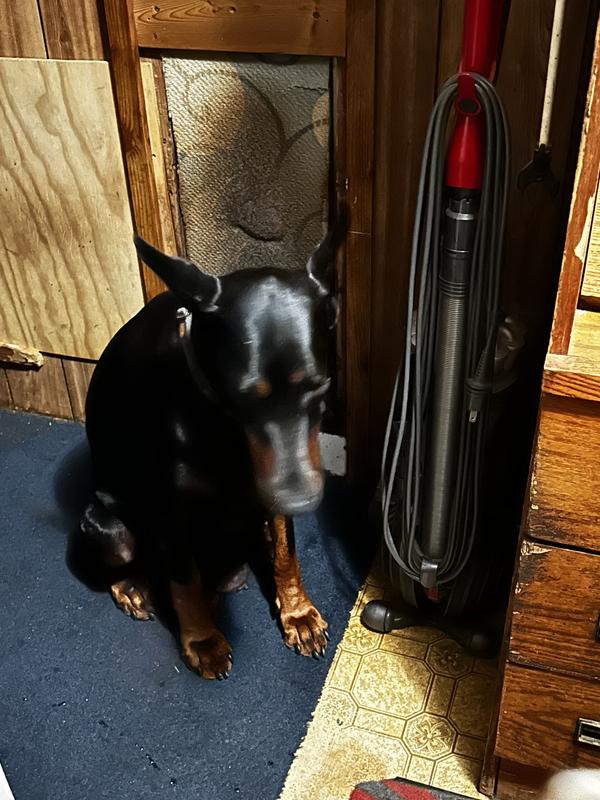 Grandma says she’s waiting