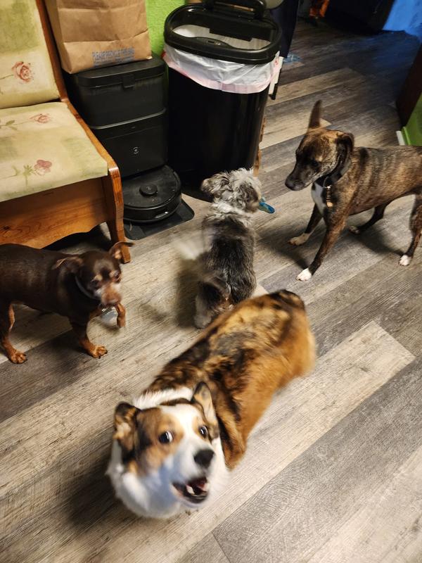 Hoshi says it's my turn!!!!