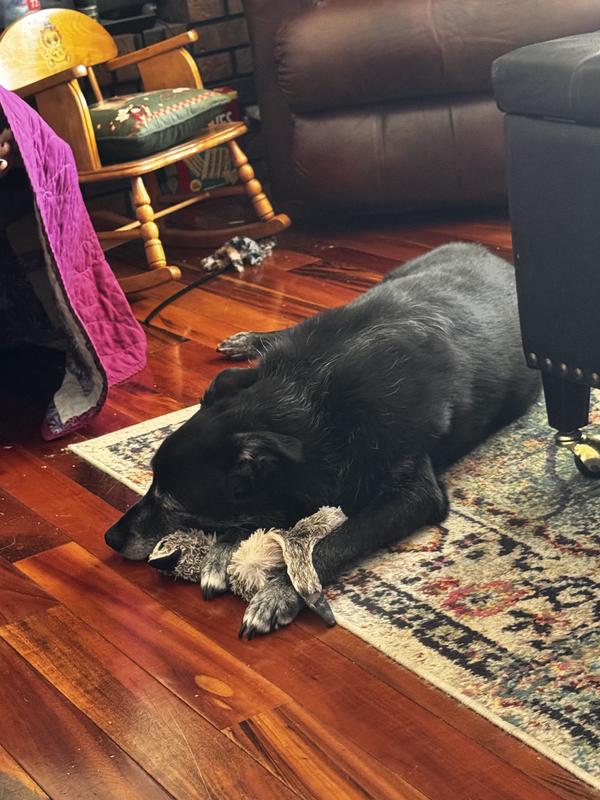 Her with her favorite toy.
