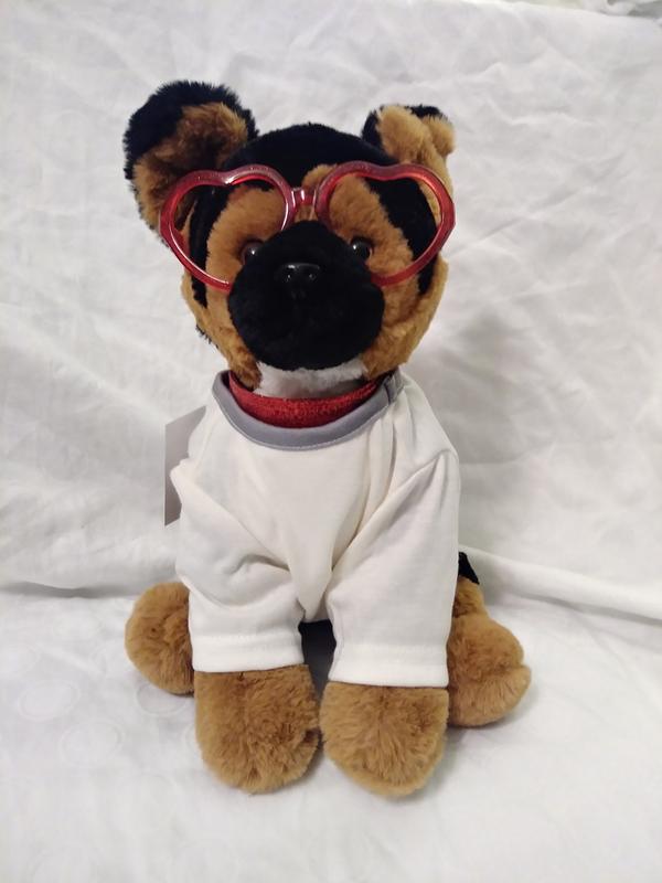 The aforementioned stuffed dog model (front)