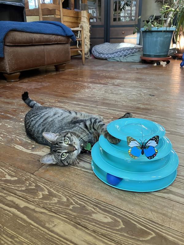 Thank you, this is fun!