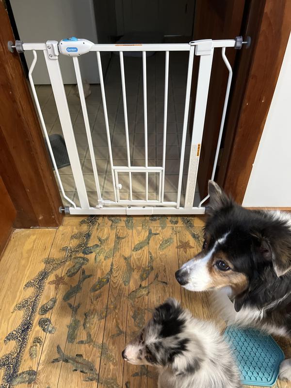 Extra narrow pet outlet gate