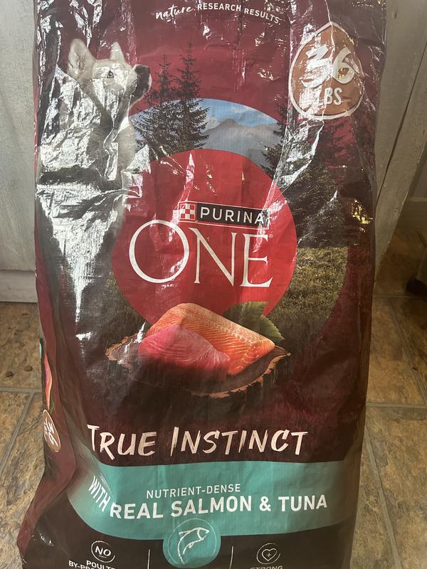 Purina one salmon dog food reviews best sale