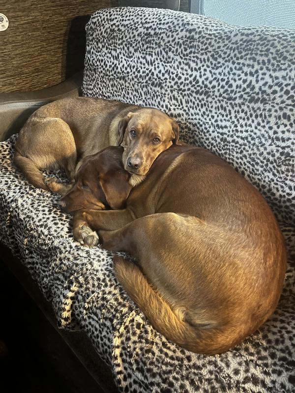 King Huk & Queen Ruby