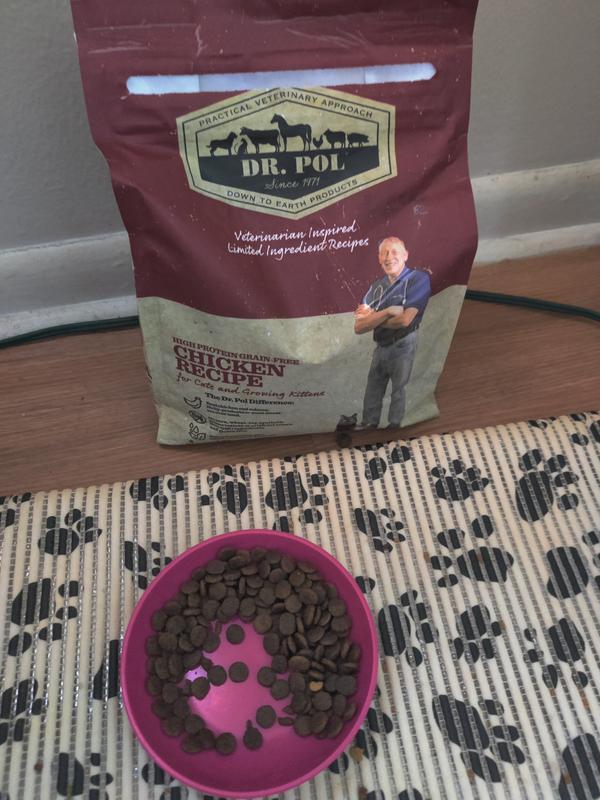 Dr Pol Limited Ingredient Beef Canned Dog Food