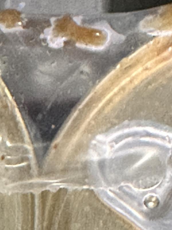 Mold present from open cans