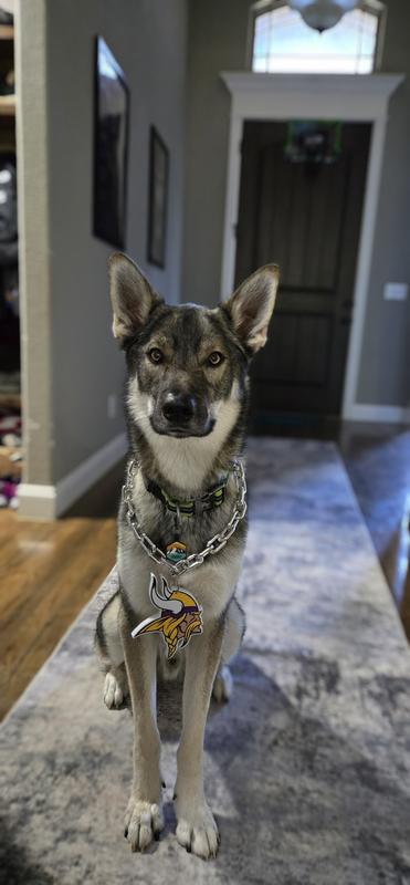 Sporting our favorite team whether they win or lose