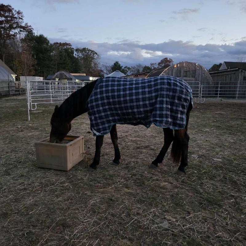 Shantih wearing his new medium weight