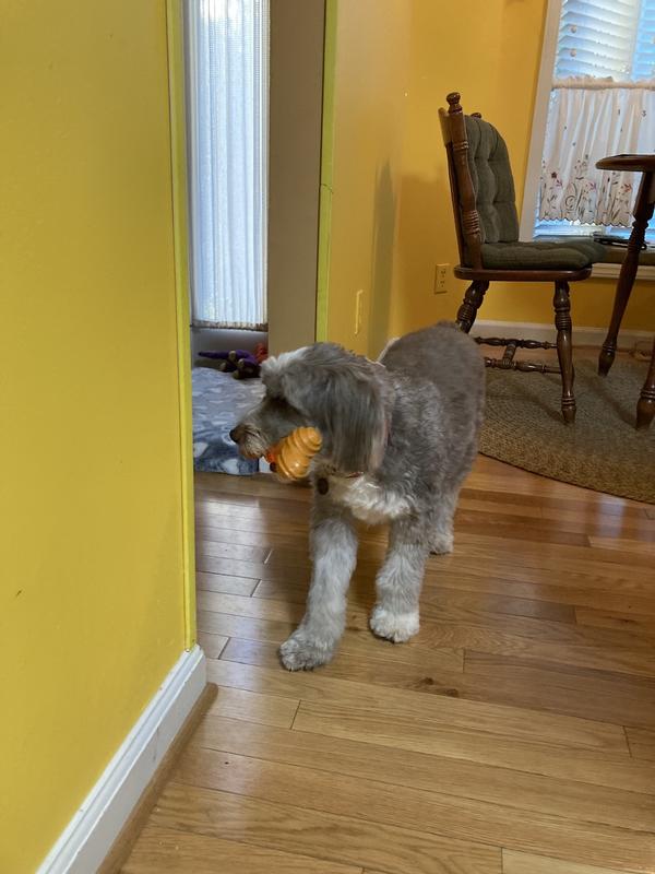 My favorite bone !!!!