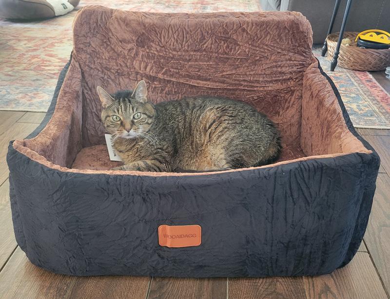 Our cat wanted to try this out too during the photo session.  He weighs 13 lbs if that helps with judging the size of the seat.