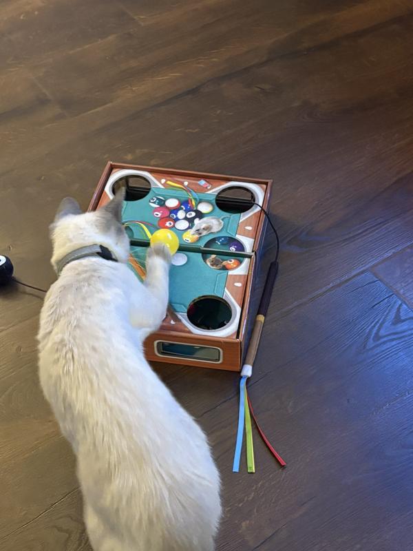KONG Playground Pool Table Game & Puzzle Cat Toy with Catnip ...