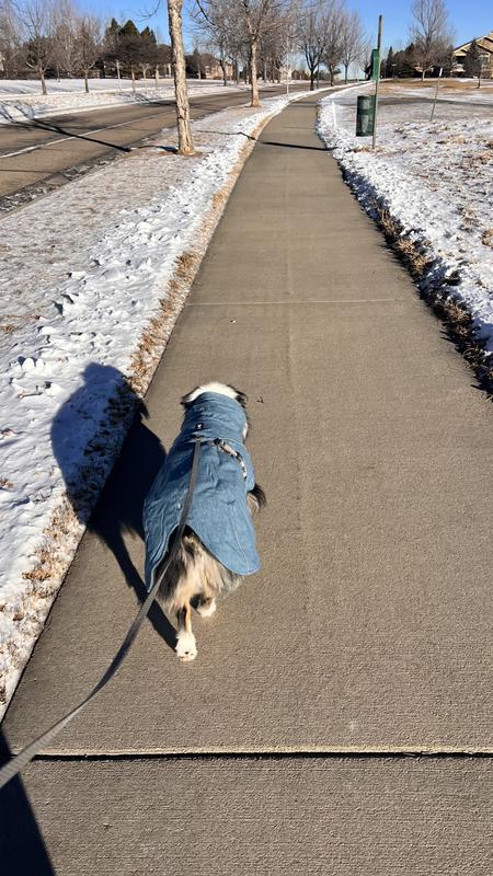 Hurtta Expedition Insulated Dog Parka