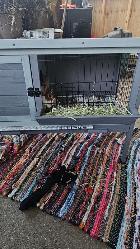 Perfect for a mini wrex