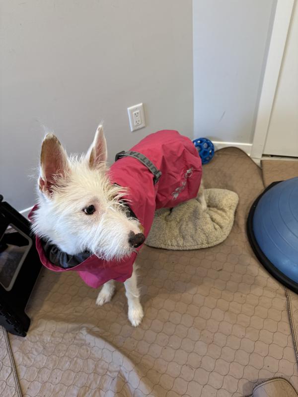 Hurtta Monsoon II ECO Dog Raincoat