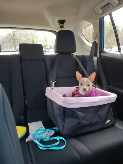 Dog car seat -  Canada