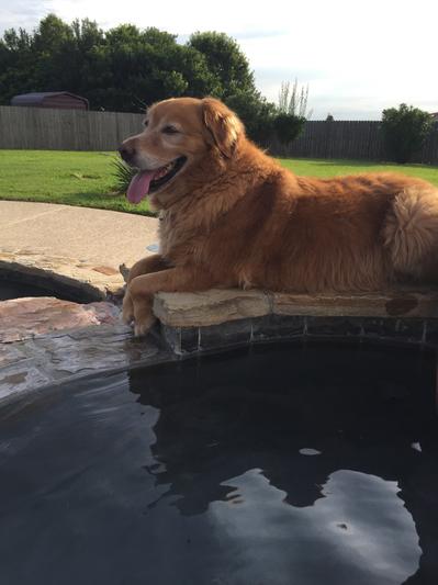 Just getting a tan.