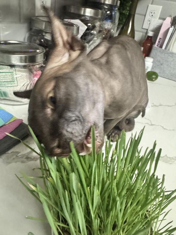 She loves it