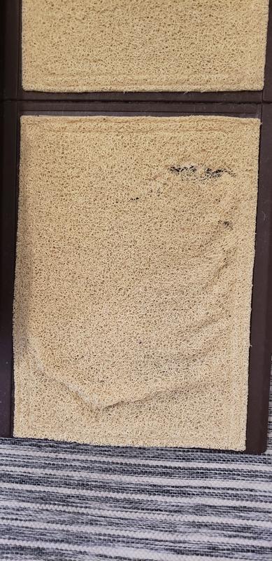 The weak link of this Pet Gear ramp.