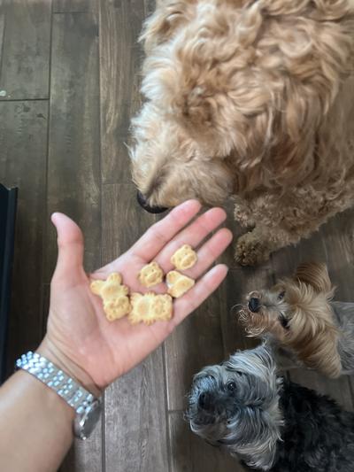 Grandma Lucy's Organic Banana & Sweet Potato Oven Baked Dog Treats