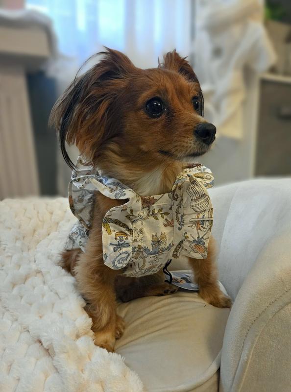 A moment for the flutter sleeves. 🦋