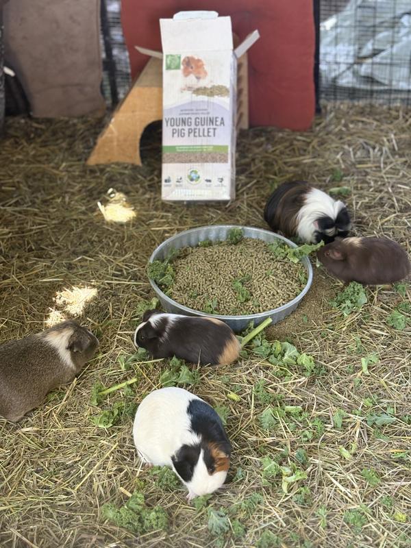 Wee week thank you yummy