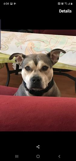 My Harley girl!