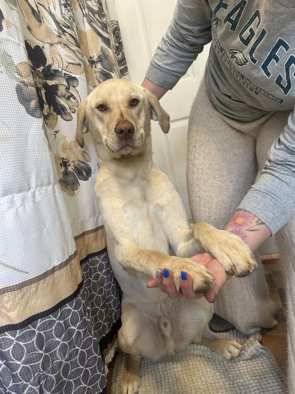 Mostly dry, smiley boy!