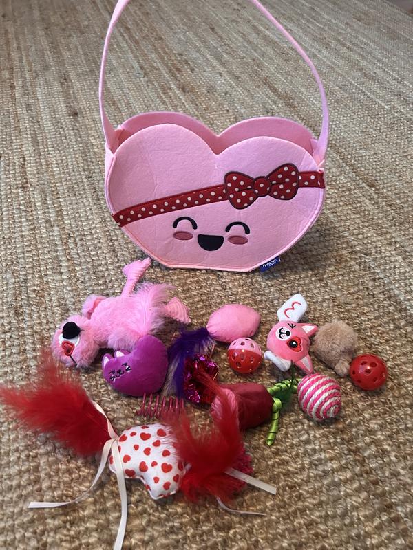 All that was included inside the heart bag!