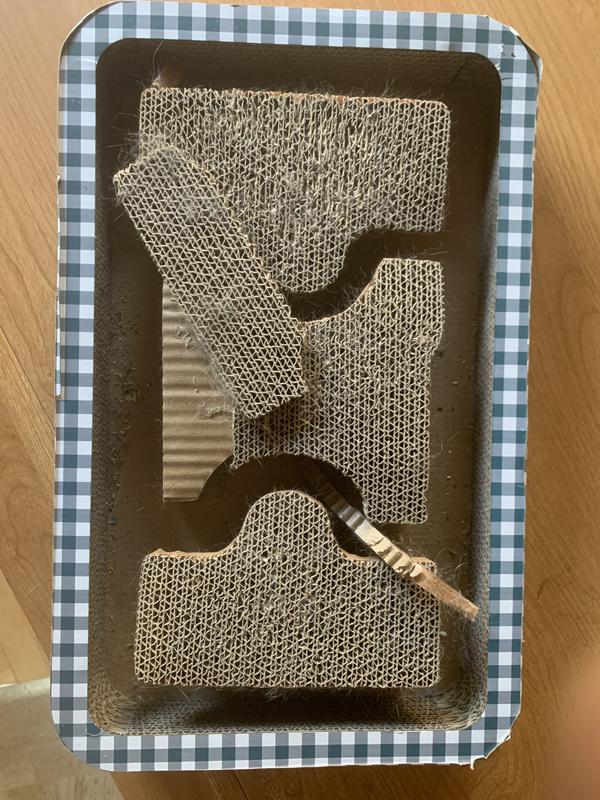 Some minor damage after 3 weeks