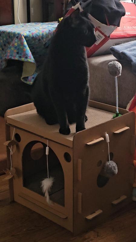 He is a heavy cat and had no issues.