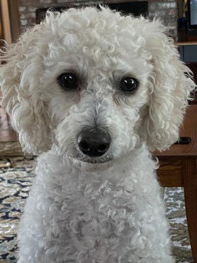 After Nooties. Handsome boy!