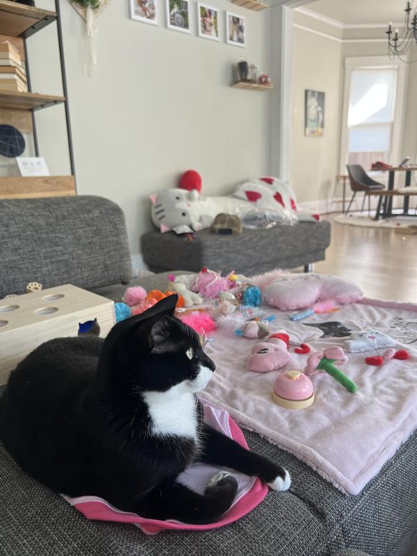 SMARTYKAT Celebration Bundle Cat Toys