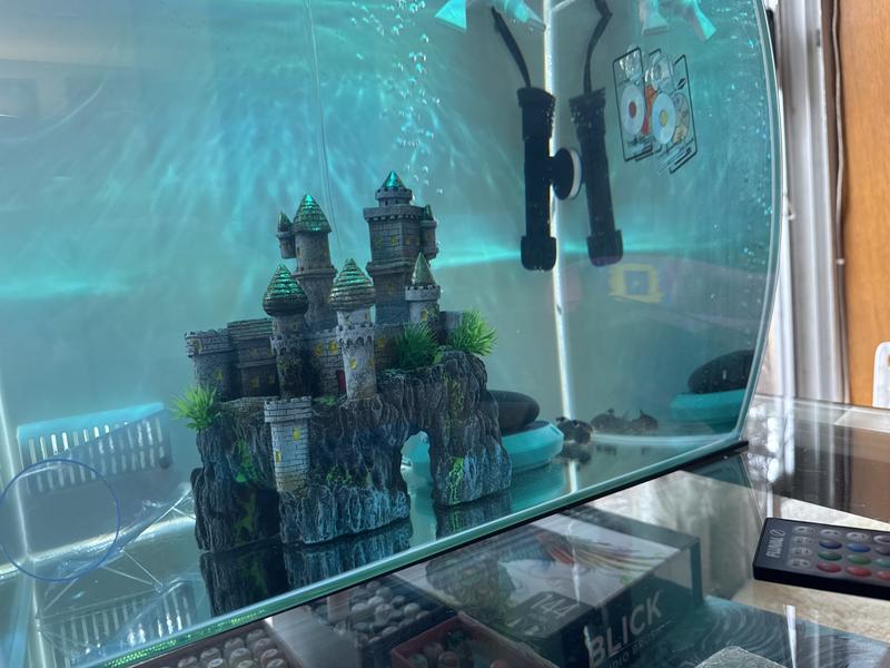 Cute small castle in our 15 gallon tank