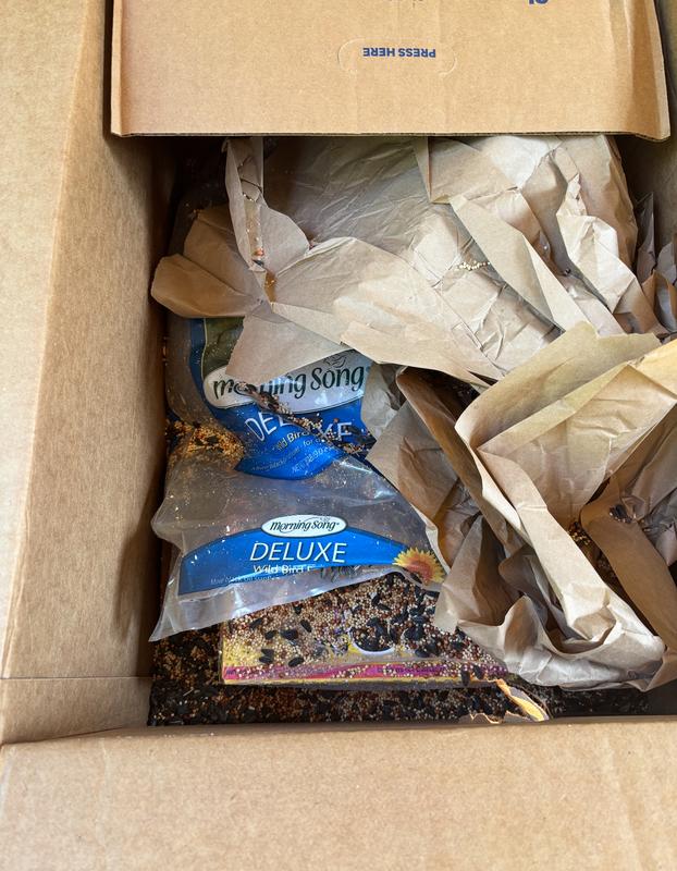 Bird seed everywhere