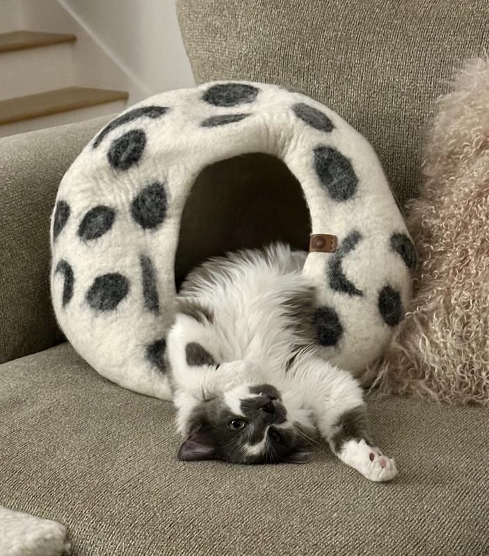Remy spilling out of the cave