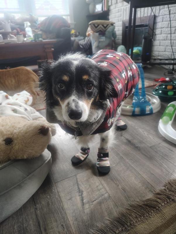 Obviously thrilled with cool kicks