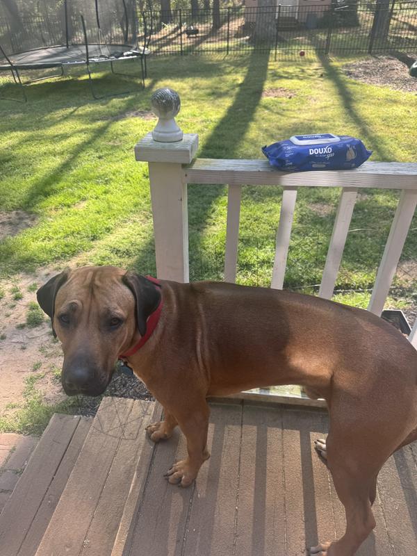 Waiting to be cleaned