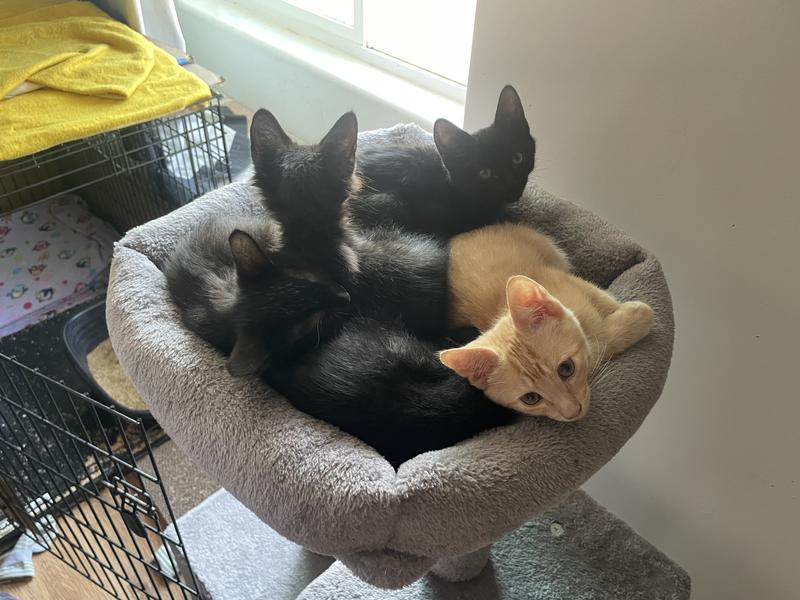 All five of them are crammed in there.