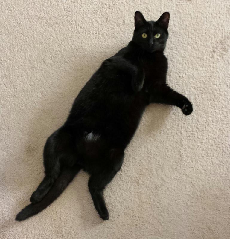 Hershey being Hershey....